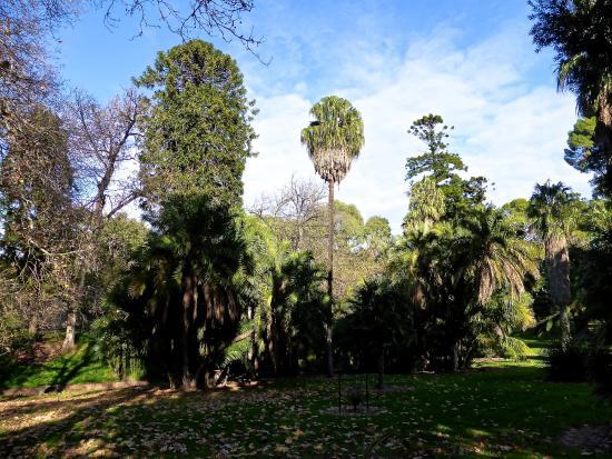 Jardín Botánico de Adelaida